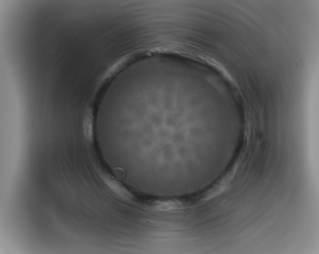 X0000114560446200910191435