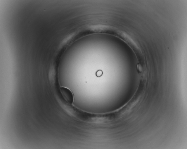 X0000114560448200910191435