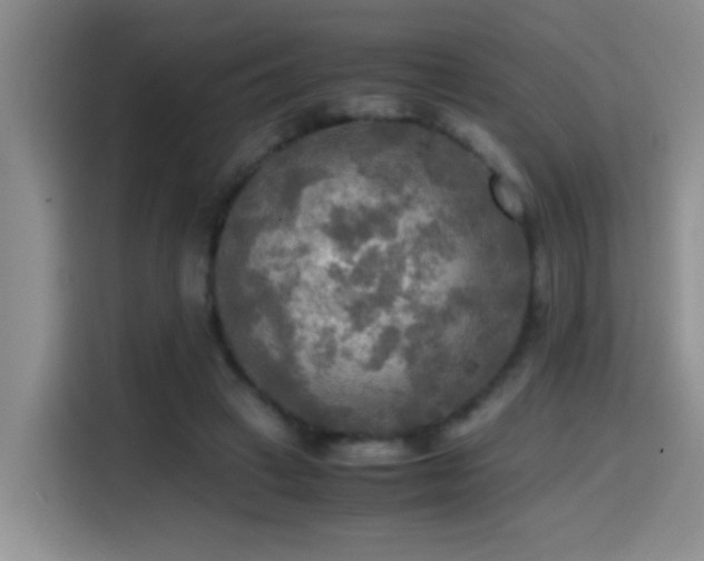 X0000114560449200910191435