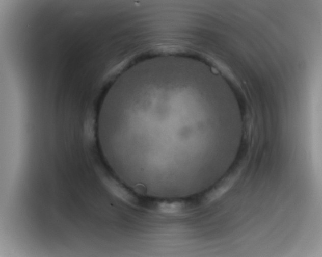 X0000114560450200910191435