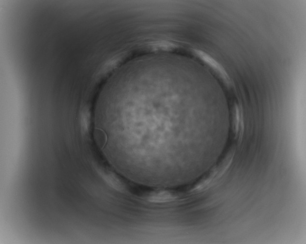 X0000114560451200910191435