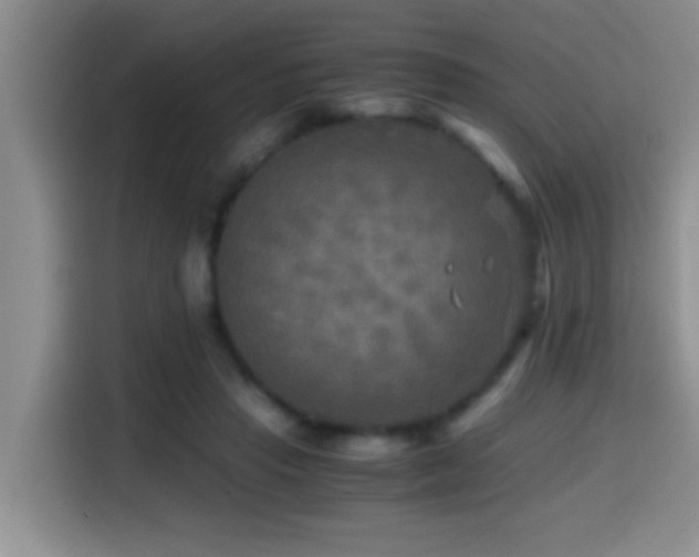 X0000114560453200910191435