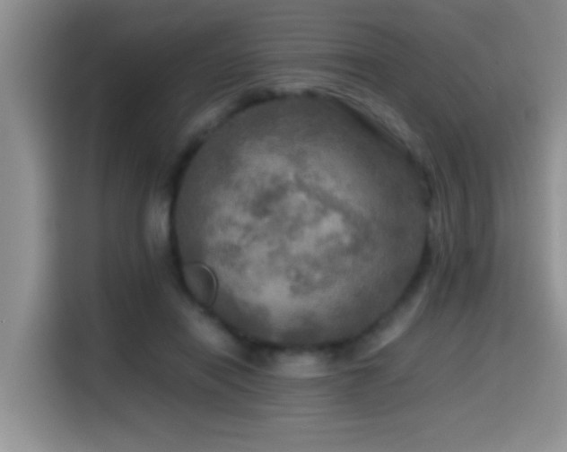 X0000114560454200910191435