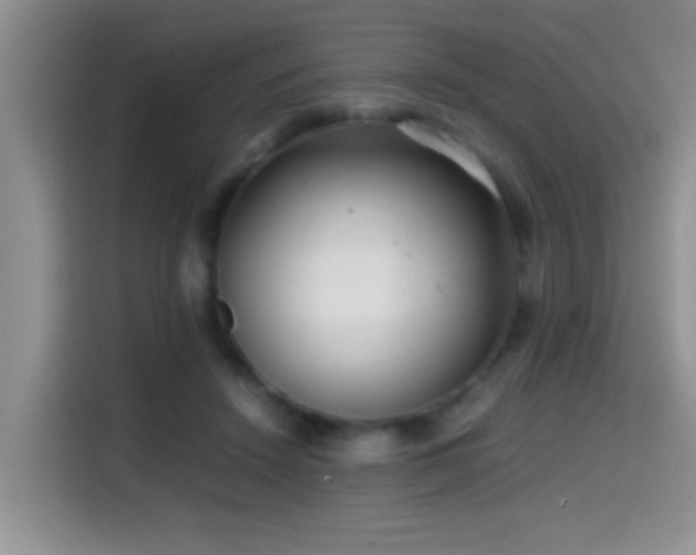 X0000114560456200910191435