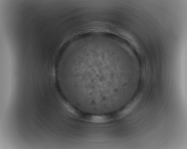 X0000114560457200910191435