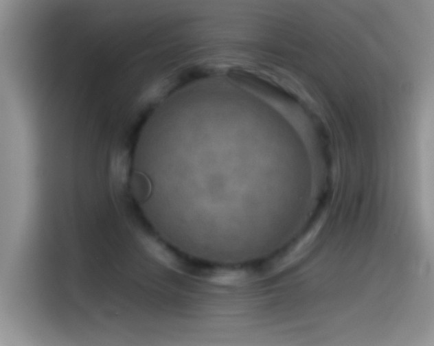 X0000114560458200910191435