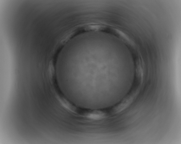X0000114560459200910191435