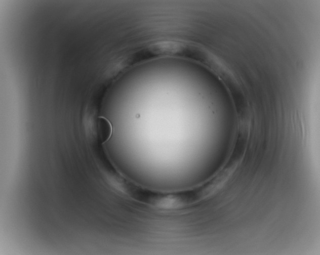 X0000114560460200910191435
