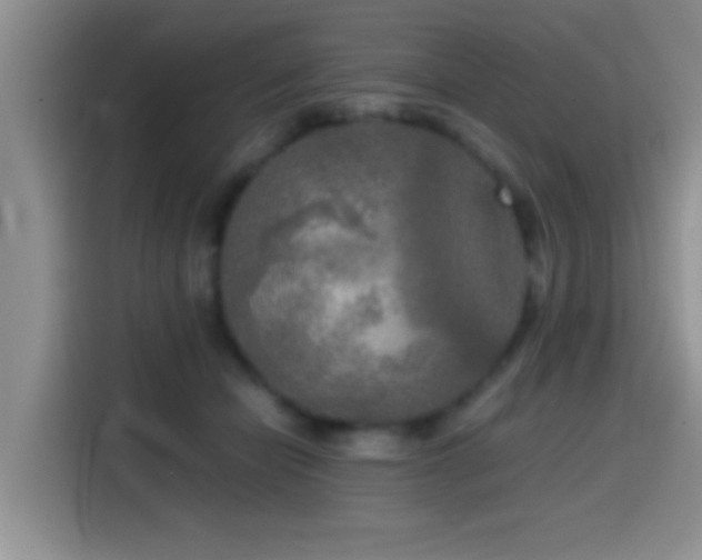 X0000114560462200910191435