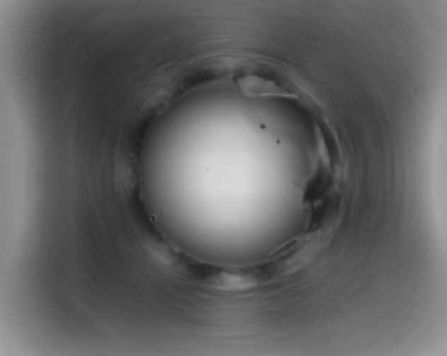 X0000114560464200910191435