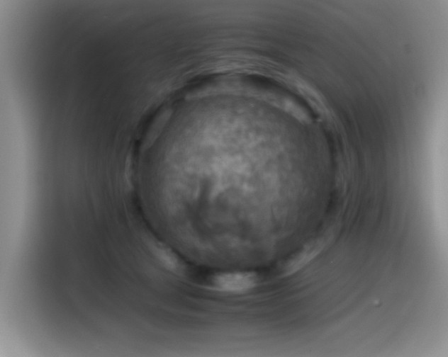 X0000114560465200910191435