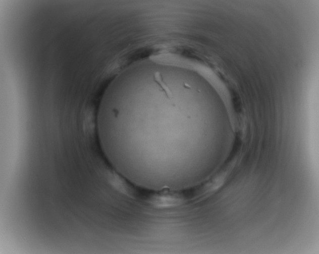 X0000114560466200910191435