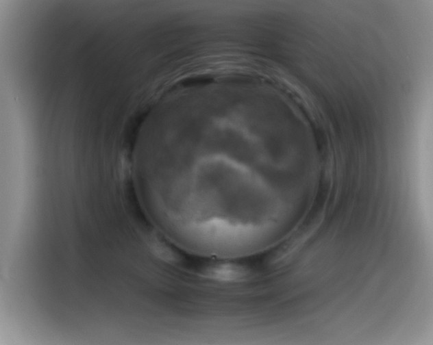 X0000114560467200910191435