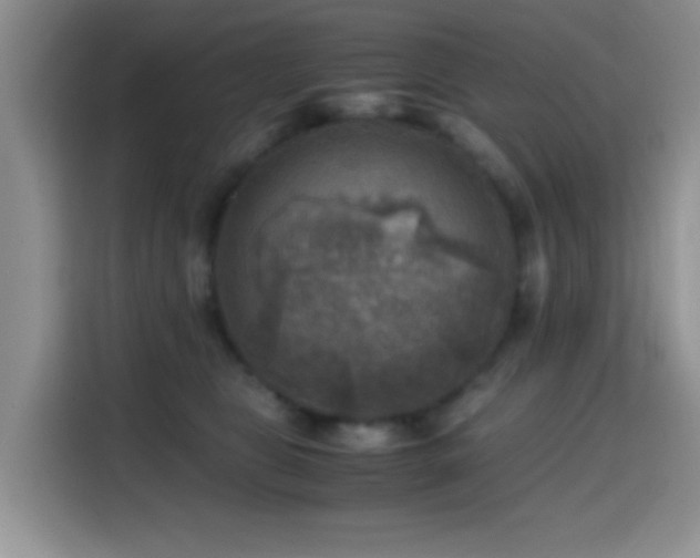 X0000114560469200910191435