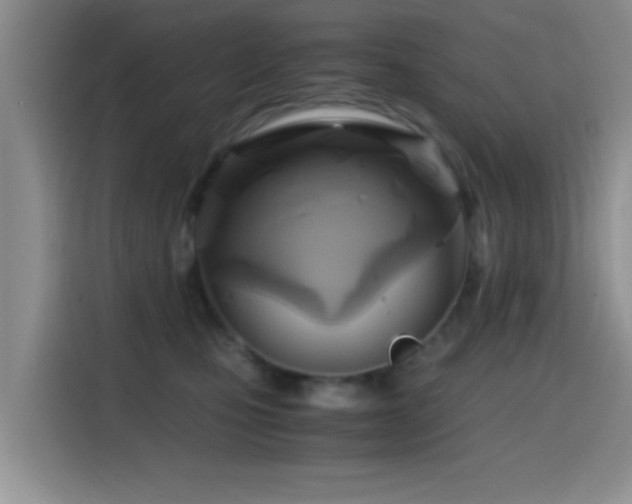 X0000114560471200910191435
