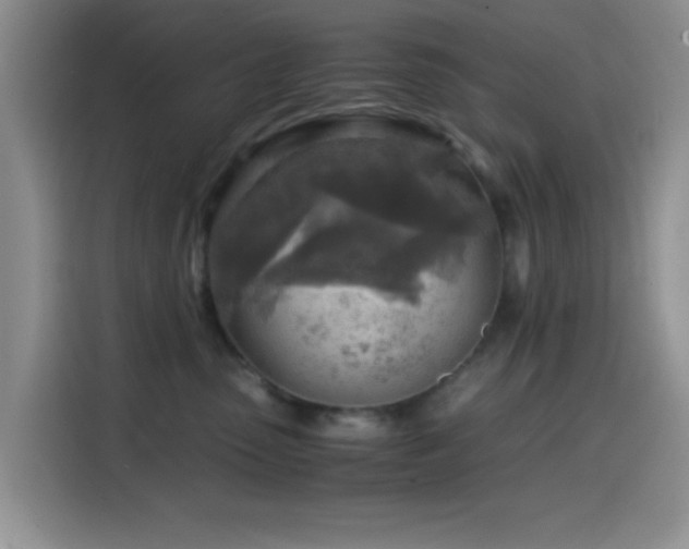 X0000114560475200910191435