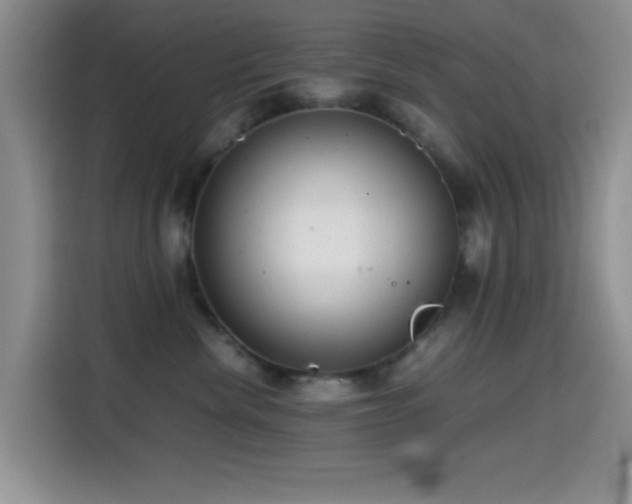 X0000114560476200910191435