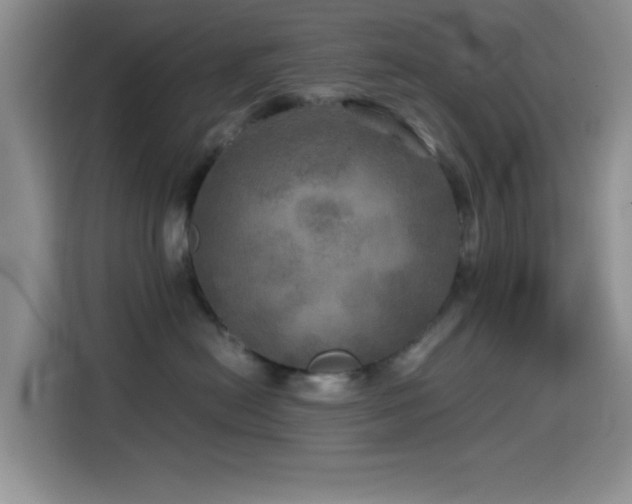 X0000114560478200910191435