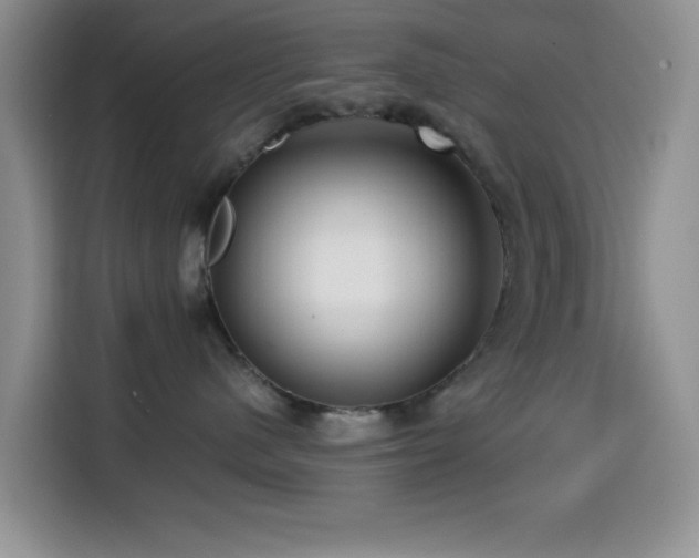 X0000114560480200910191435