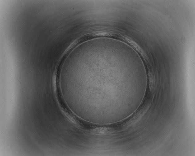 X0000114560482200910191434