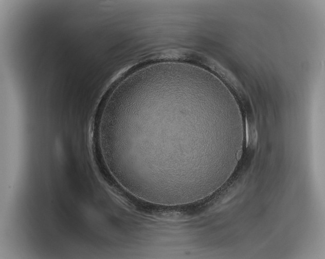 X0000114560483200910191434
