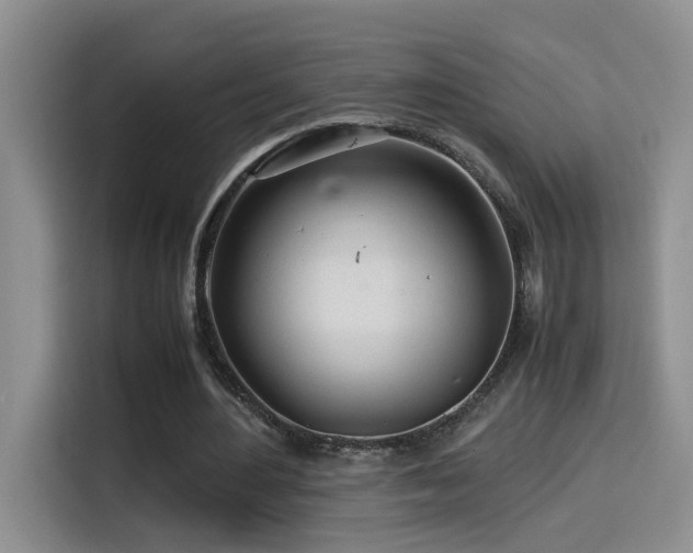 X0000114560484200910191434