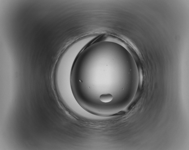 X0000114560485200910191434