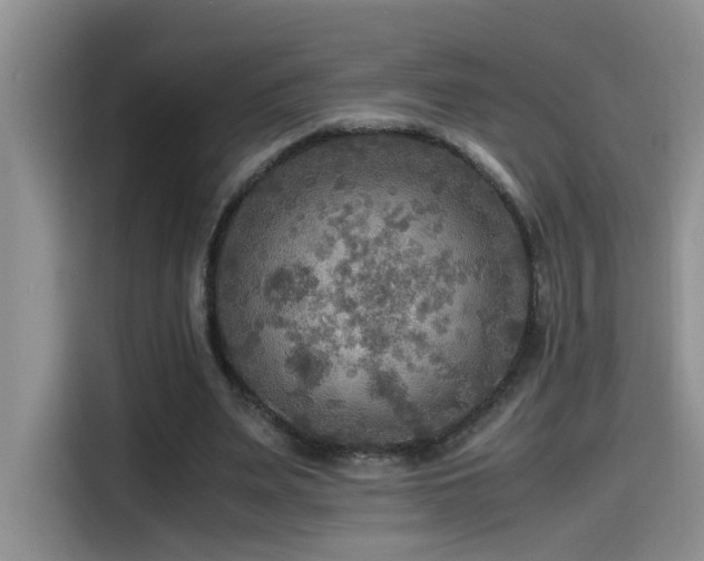 X0000114560487200910191434