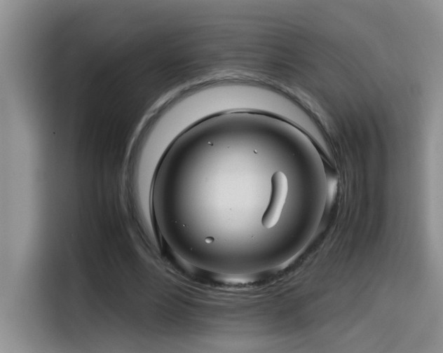 X0000114560488200910191434