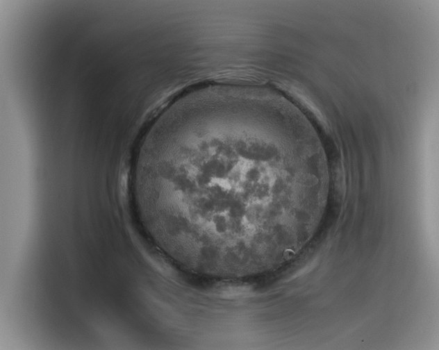 X0000114560491200910191434