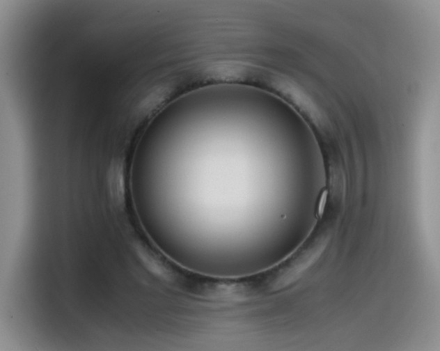 X0000114560493200910191434