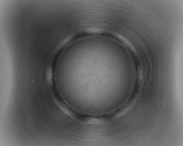 X0000114560494200910191434