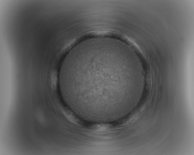 X0000114560495200910191434