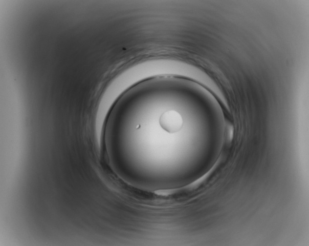 X0000114560496200910191434