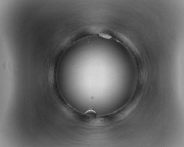 X0000114560497200910191434