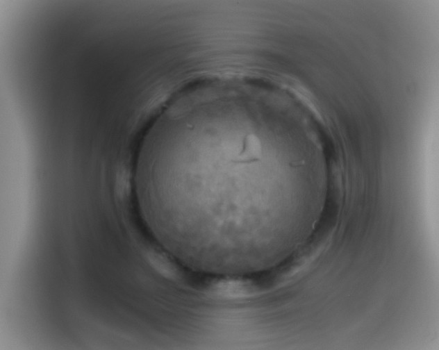 X0000114560499200910191434