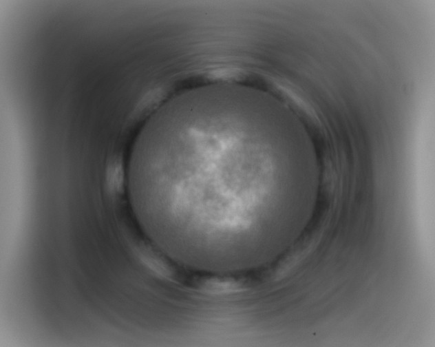 X0000114560502200910191434