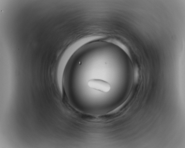X0000114560504200910191434