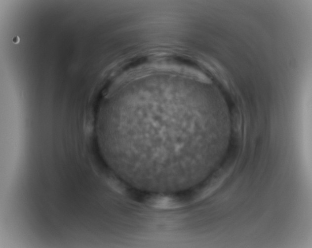 X0000114560507200910191434