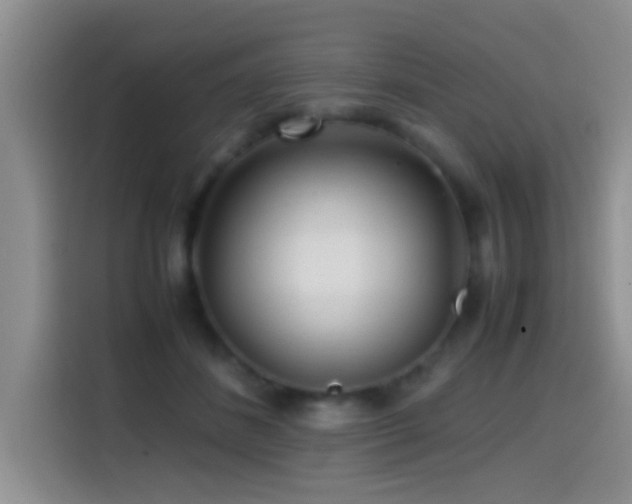 X0000114560508200910191434