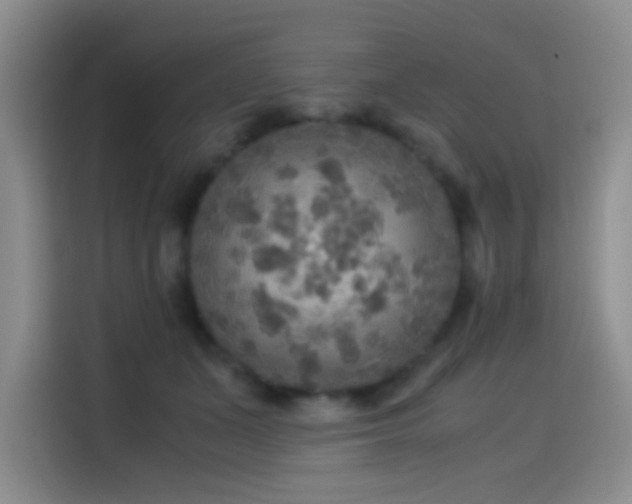 X0000114560511200910191434