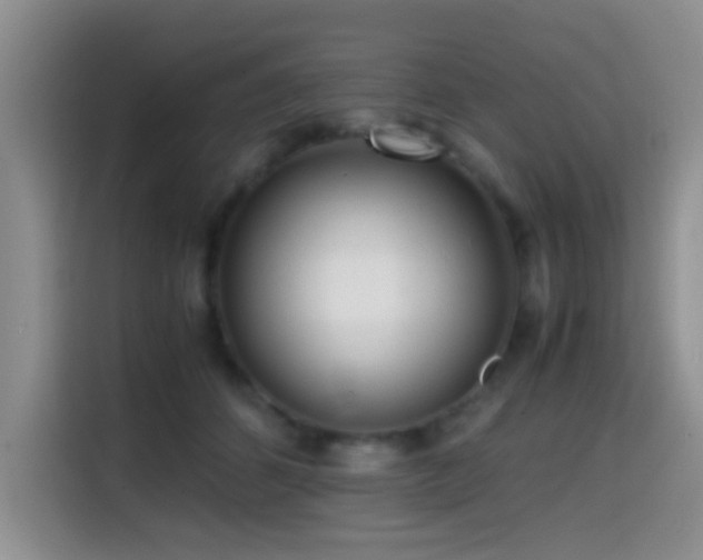 X0000114560512200910191434