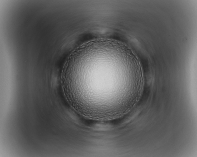 X0000114560515200910191434