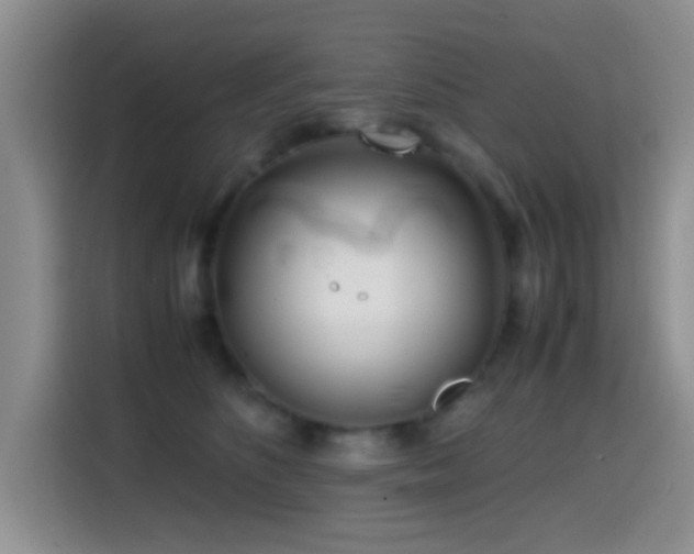 X0000114560516200910191434