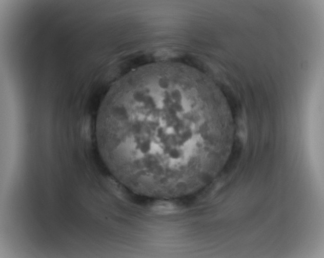 X0000114560519200910191434