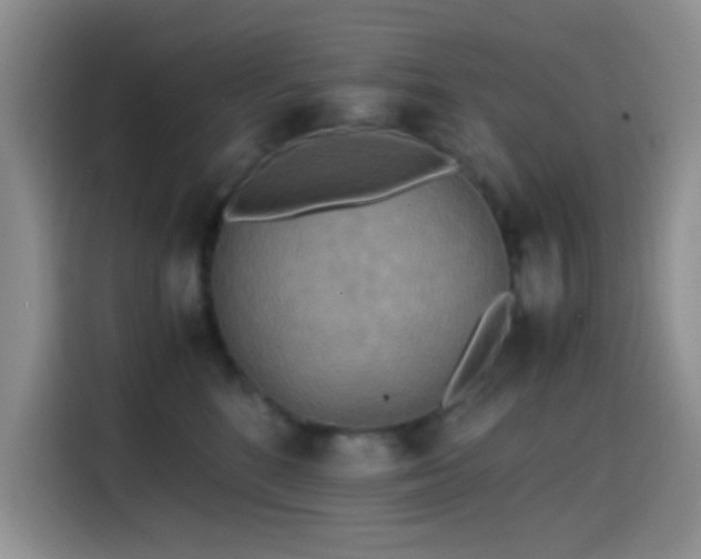X0000114560520200910191434