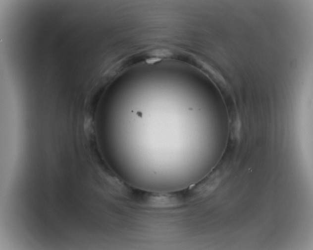 X0000114560521200910191434