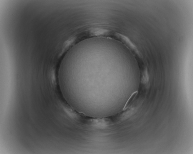 X0000114560524200910191434