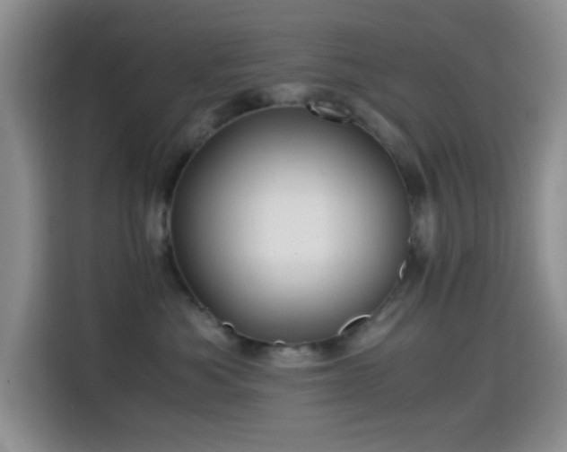 X0000114560525200910191434