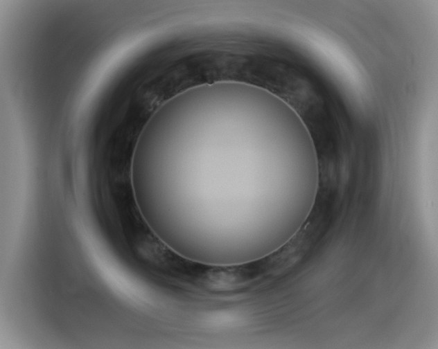 X0000114560526200910191434
